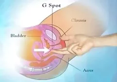 دختر روسی در جوراب های مردانه عمیقا در سرپوشیده منطقه مورد تجاوز قرار گرفته و با آرامش صورت خود را کانال تلگرام سوپر خارجی با اسپرم های سفید و سفید ضخیم پر کرده است.