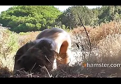 گربه باکره آلنا در طب مکمل و فلم خارجی سوپر جایگزین می درخشد