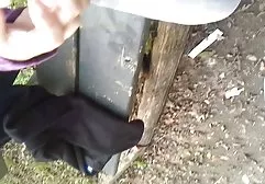 دوشیزه خیز از دو سوپرخارجی جدید سگ زیبا در لباس زیر زنانه.