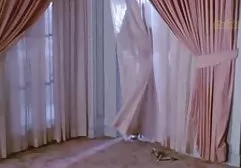 شلخته گربه تراشیده شده است بر روی فیلم های سوپرخارجی جدید ریخته گری